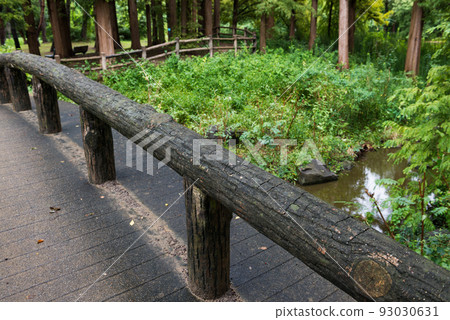 Scenery of Nagai Botanical Garden Scenery of Nagai Botanical Garden 93030631