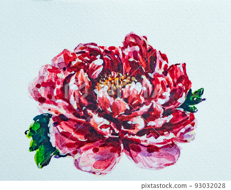 Watercolor hand painted peony flowers Watercolor hand painted peony flowers 93032028
