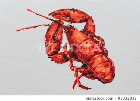 手繪的紅色波士頓龍蝦 93032032