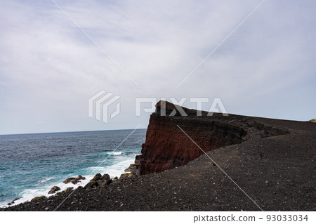 Niibana Shinzan Miyakejima 93033034