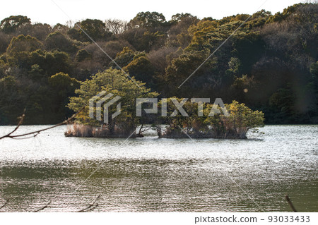 Kyushu no Mori Kyushu no Mori 93033433