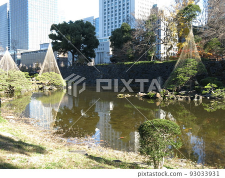 日比谷公園的真嗣池,冬天可以看到雪鳥 日比谷公園的真嗣池,冬天可以看到雪鳥 93033931