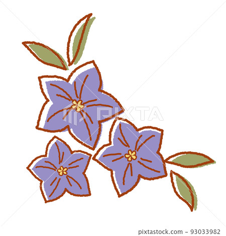 可愛的手繪風鈴草 93033982