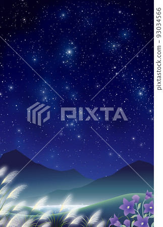 autumn night sky bellflower pampas grass field autumn night sky bellflower pampas grass field 93034566