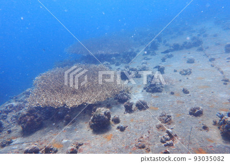 Iro Maru Palau, the oiler Iro Maru Palau 93035082