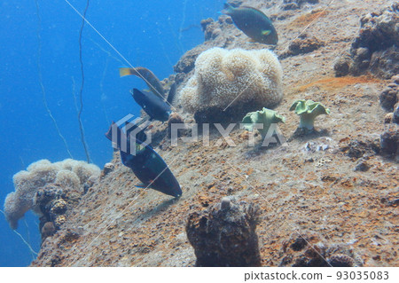 Iro Maru Palau, the oiler Iro Maru Palau Iro Maru Palau, the oiler Iro Maru Palau 93035083