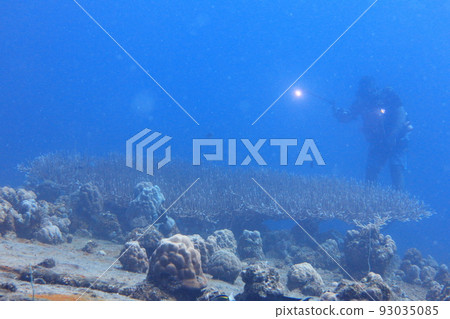 石廊號給油艦 帛琉 Iro Maru Palau 93035085