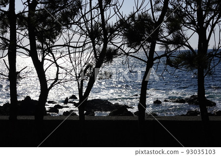 黃昏時分室戶的波光粼粼的大海 黃昏時分室戶的波光粼粼的大海 93035103