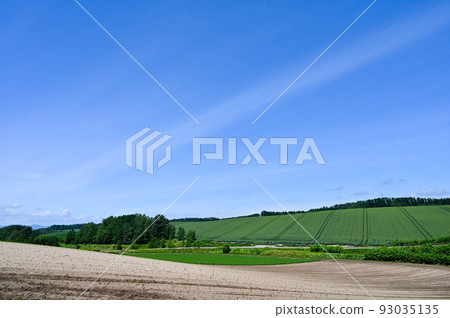 Fields and scenery of Biei in June Fields and scenery of Biei in June 93035135