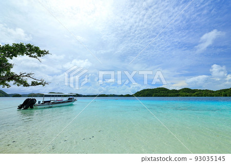Shark City Palau Shark City Palau 93035145