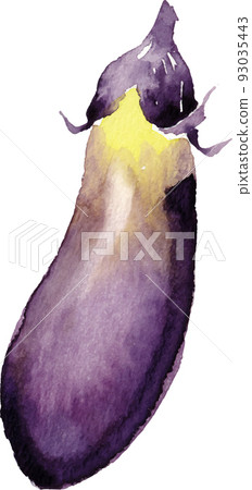 eggplant watercolor 93035443