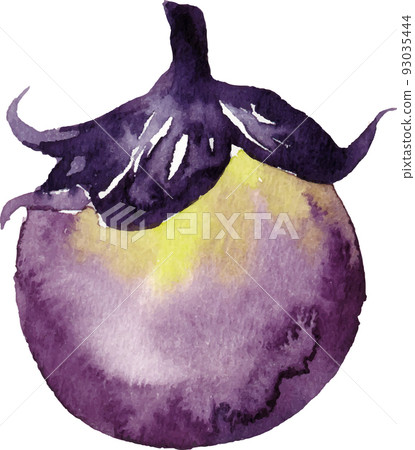 eggplant watercolor 93035444