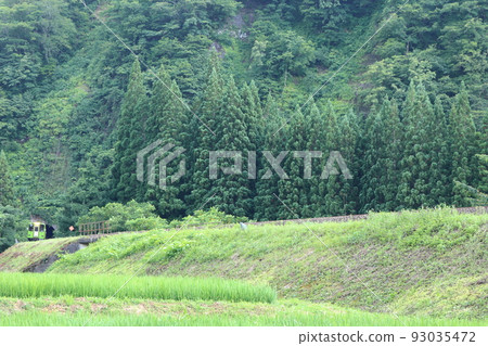 穿過朱尼丹隧道附近的秋田內陸縱貫鐵路柴油列車 穿過朱尼丹隧道附近的秋田內陸縱貫鐵路柴油列車 93035472