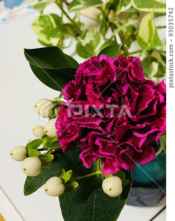 Carnation Carnation 93035742