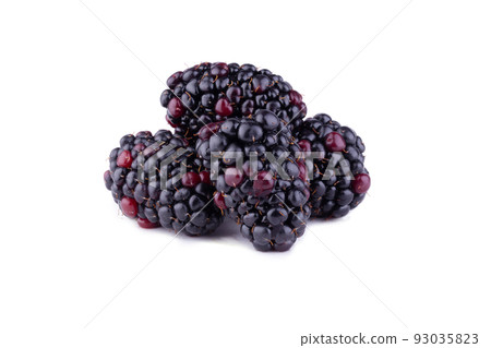 Blackberries or Dewberries isolated on a white background 93035823