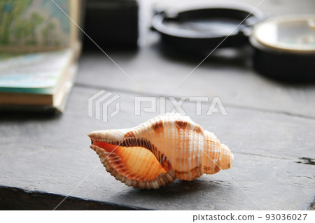 seashell, map and compass lies on a vintage table seashell, map and compass lies on a vintage table 93036027