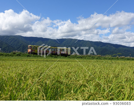 Flower Nagai Line Autumn Inaho Flower Nagai Line Autumn Inaho 93036083