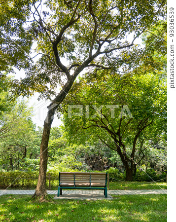 Public park in summer, green alley, footpath and old-fashioned wooden bench in the shade of trees, sunny day. Public park in summer, green alley, footpath and old-fashioned wooden bench in the shade of trees, sunny day. 93036539