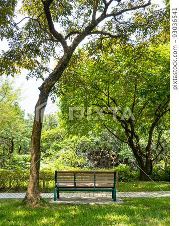 Public park in summer, green alley, footpath and old-fashioned wooden bench in the shade of trees, sunny day. 93036541