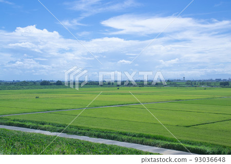 埼玉縣埼玉市附近荒川堤岸的風景 93036648