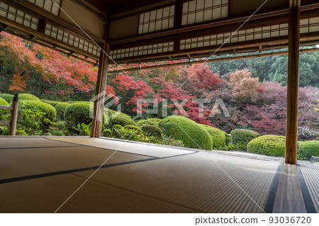 Autumn's Shiseido Autumn's Shiseido 93036720