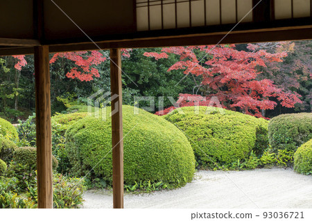 Autumn's Shiseido 93036721