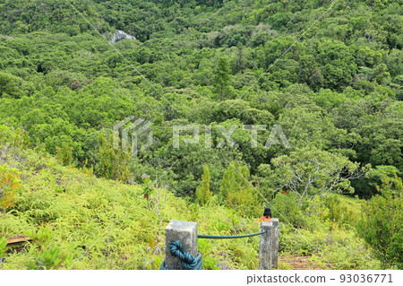 Angel Falls Anda Maung Falls Palau 93036771