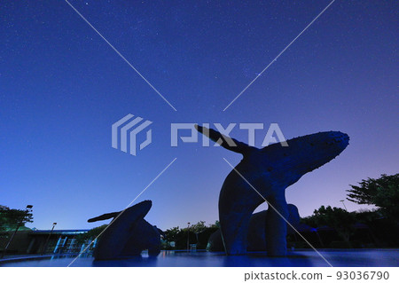 Starry Sky Sea Life Museum Pingtung Taiwan 93036790