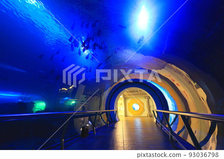 Overnight Sea Life Museum Pingtung Taiwan Overnight Sea Life Museum Pingtung Taiwan 93036798