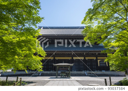 京都南禪寺的法堂和新鮮的綠色植物 93037384