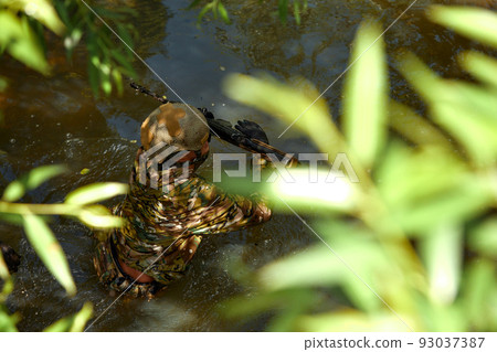 Full military experience - One day commando - running through the water with automatic rifle replica Full military experience - One day commando - running through the water with automatic rifle replica 93037387