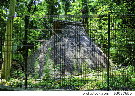 東京代代木八幡宮境內的代代木八幡遺址（繩文時代的坑居） 93037699