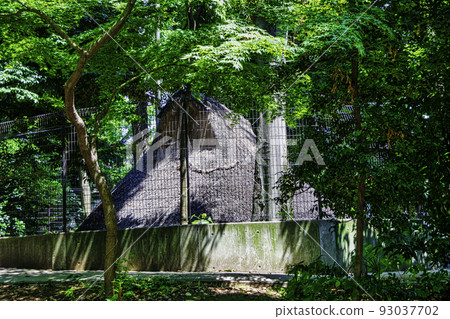 東京代代木八幡宮境內的代代木八幡遺址(繩文時代的坑居) 東京代代木八幡宮境內的代代木八幡遺址(繩文時代的坑居) 93037702