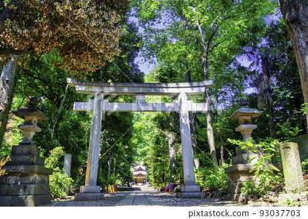 東京代代木八幡宮境內的代代木八幡遺址(繩文時代的坑居) 東京代代木八幡宮境內的代代木八幡遺址(繩文時代的坑居) 93037703