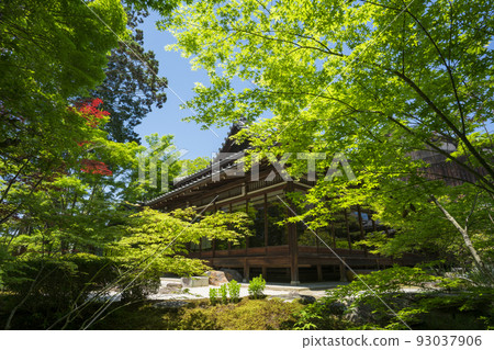 Fresh green of Tenju-an, the tower temple of Nanzenji Temple in Kyoto Fresh green of Tenju-an, the tower temple of Nanzenji Temple in Kyoto 93037906