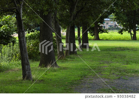 夏天的風景 夏天的風景 93038482