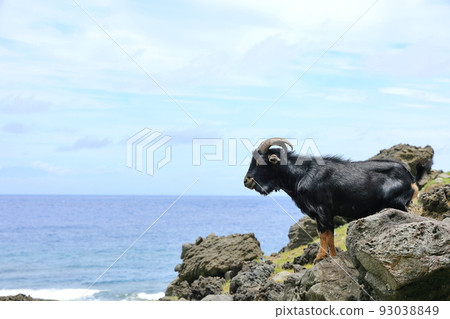 Yanglan Island Taitung Taiwan 93038849