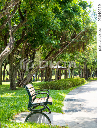 Summer park, green lanes, walking paths, park benches under trees, sunny days. 93040639