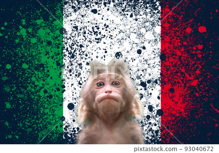 A new outbreak of viral infection at Italia, monkey pox. Small monkey looks up at italian flag background. Copy space. The concept of monkeypox, pandemic and transmissible virus 93040672