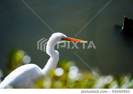 Heron 93040993