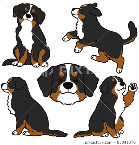 Simple and cute Bernese mountain dog illustration set with main lines 93041370
