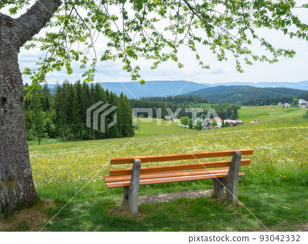 Black forest, Germany - May 28th 2022: Fantastic view over a wildflower meadow into the wide landscape 93042332
