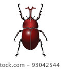 Beetle 93042544