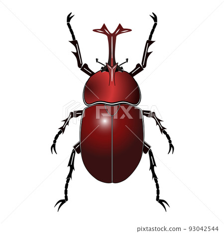 Beetle Beetle 93042544