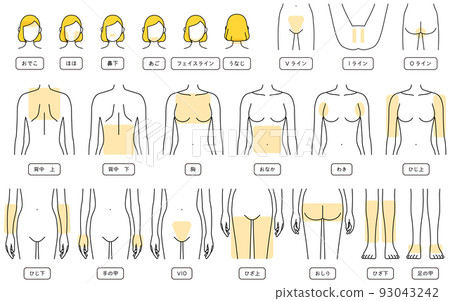 女性脫毛插圖，面部脫毛，VIO，上半身，下半身 93043242