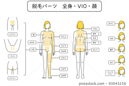 女性脫毛圖解全身/VIO/面部 93043258