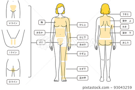 Illustration of female hair removal Whole body and VIO Illustration of female hair removal Whole body and VIO 93043259