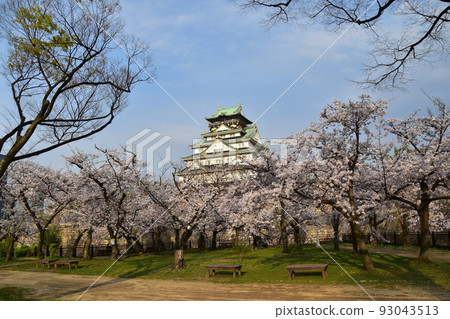 日本大阪府春天大阪城櫻花盛開、藍天和宏偉的城堡塔 日本大阪府春天大阪城櫻花盛開、藍天和宏偉的城堡塔 93043513