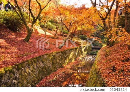 Autumn leaves of Tofuku-ji, Kyoto Autumn leaves of Tofuku-ji, Kyoto 93043814