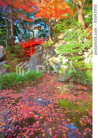 秋葉（小石川後樂園） 93043950